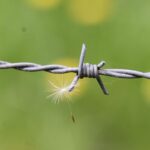 Stabil kerítés házilag: huzalfeszítő eszközök és kötöződrót a gyakorlatban