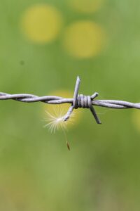 Stabil kerítés házilag: huzalfeszítő eszközök és kötöződrót a gyakorlatban
