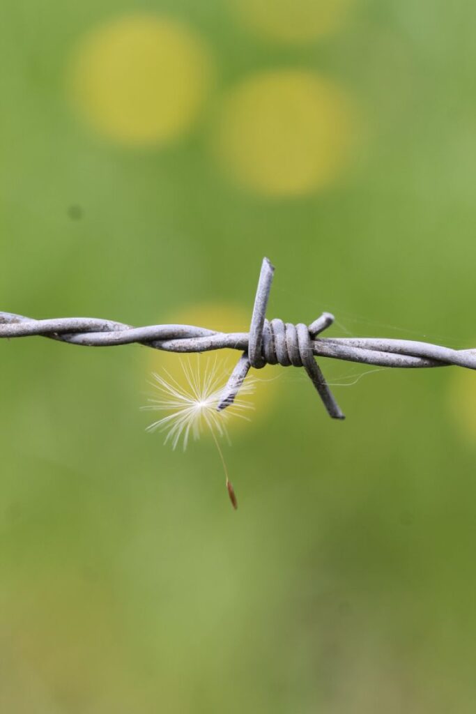 Stabil kerítés házilag: huzalfeszítő eszközök és kötöződrót a gyakorlatban